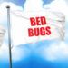 bed bugs, 3D rendering, triple flags