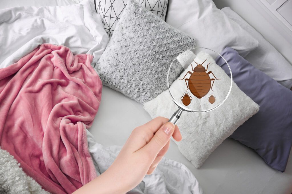 Frequently Asked Questions On Bed Bugs. 38 Woman with magnifying glass detecting bed bugs in bedroom