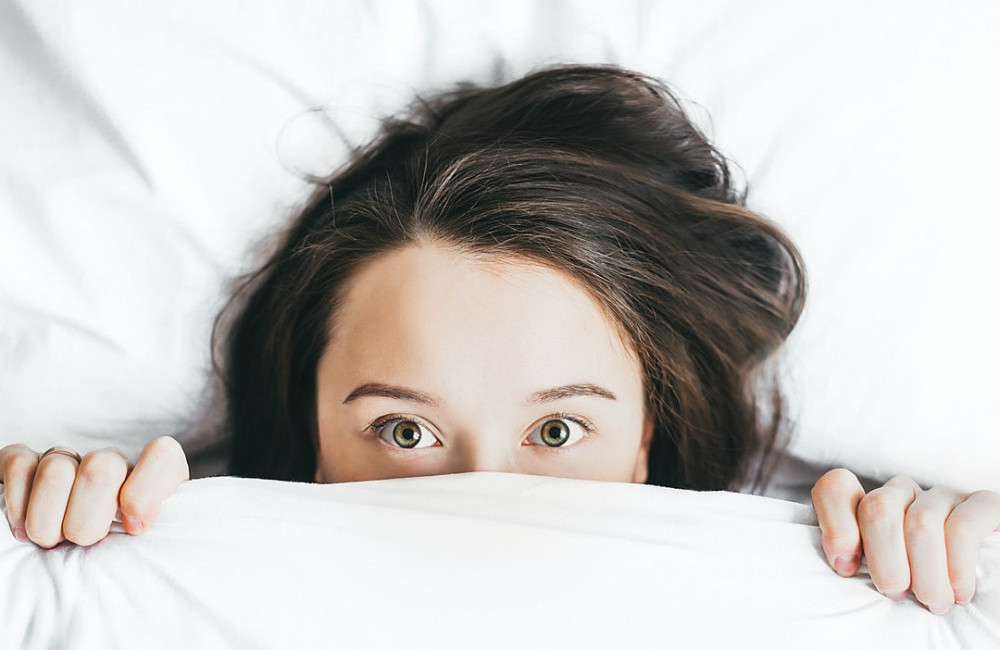 Bed Bugs Facts And Myths 35 cd4dcf9e24b8c2ce9d4cf8854d7f952a1643265574 cropped optimized