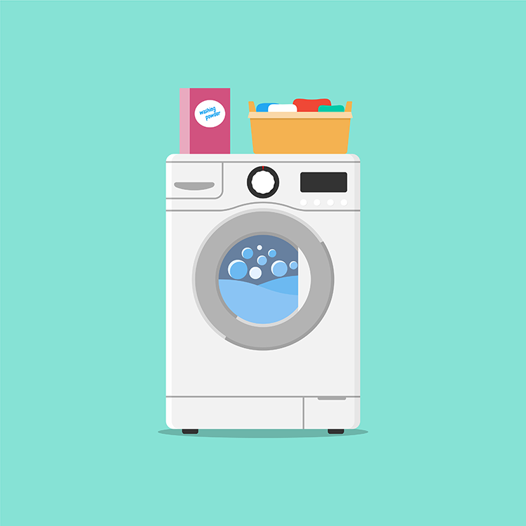 Can Bed Bugs Survive Water? 35 washing machine