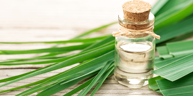 lemongrass oil