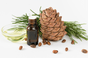 cedar wood oil