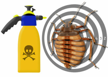 bedbug, cimex lectularius, spray