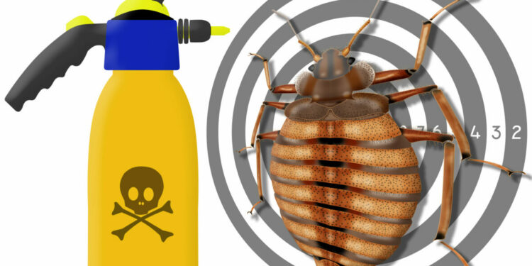 bedbug, cimex lectularius, spray