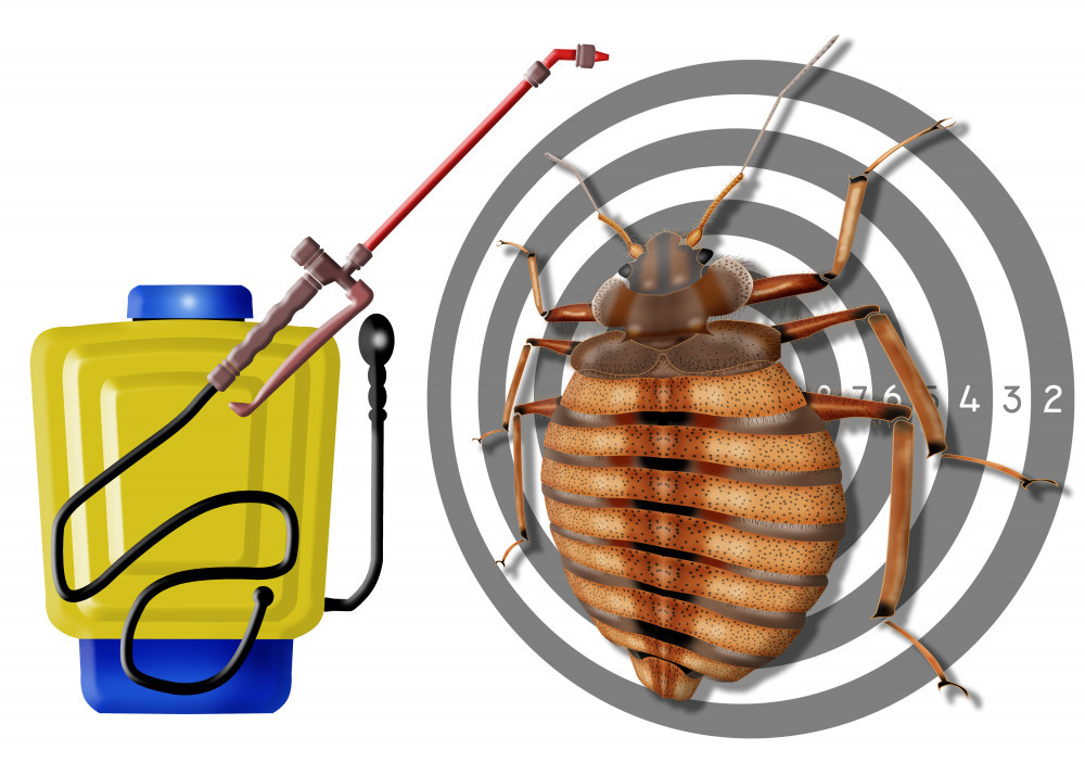 image of bed bug and sprayer tank