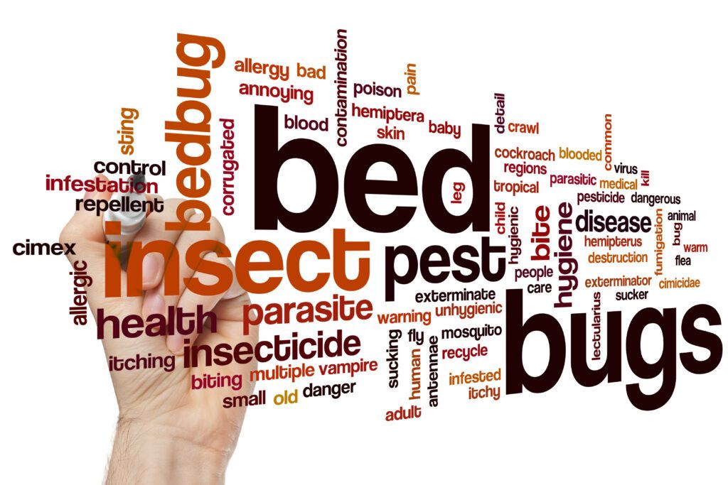 Bed bugs word cloud concept