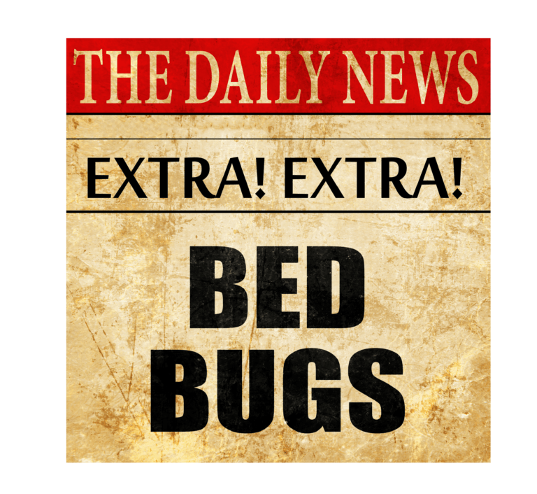 newspaper article bed bugs headline