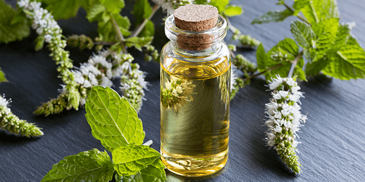 peppermint oil