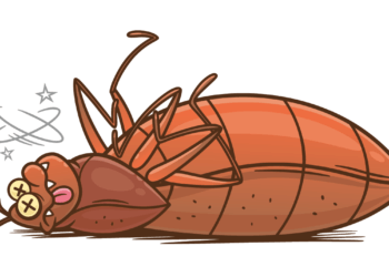 AdobeStock 359384153