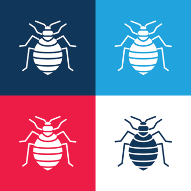 bed bug image