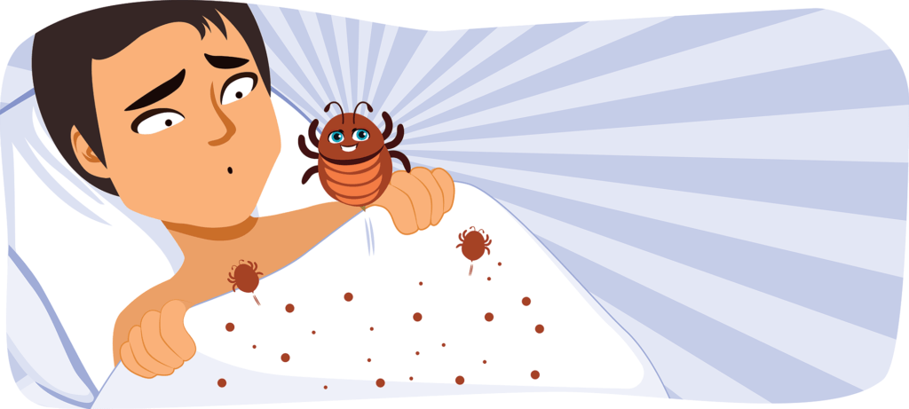 bed bugs illustration