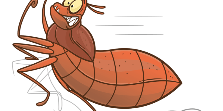 bed bugs illustration