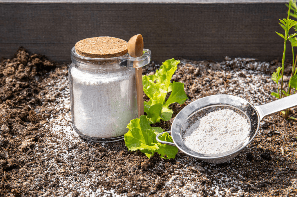 glass jar holding diatomaceous earth