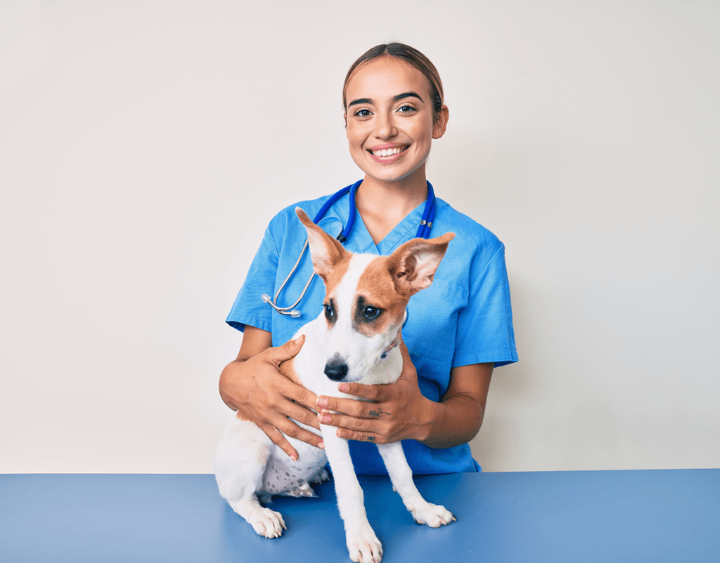 veterinarian