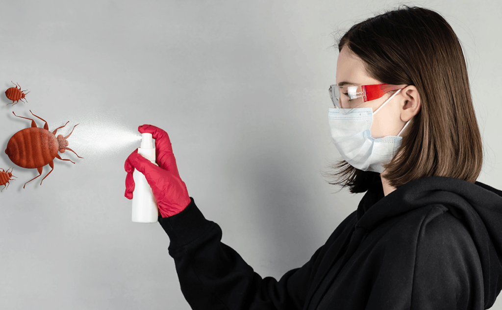 woman spraying bed bugs