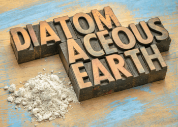 Can Diatomaceous Earth Kill Bed Bugs? The Quick Answer