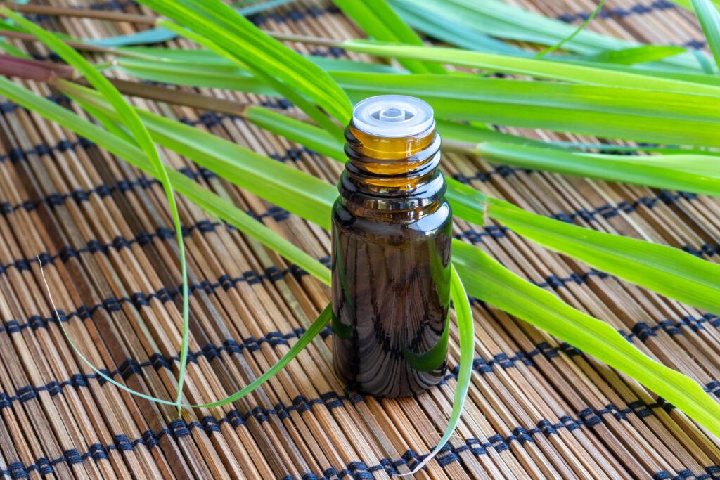 Natural Bed Bug Solutions: Harnessing the Power of Lemongrass Oil 34 AdobeStock 217210366