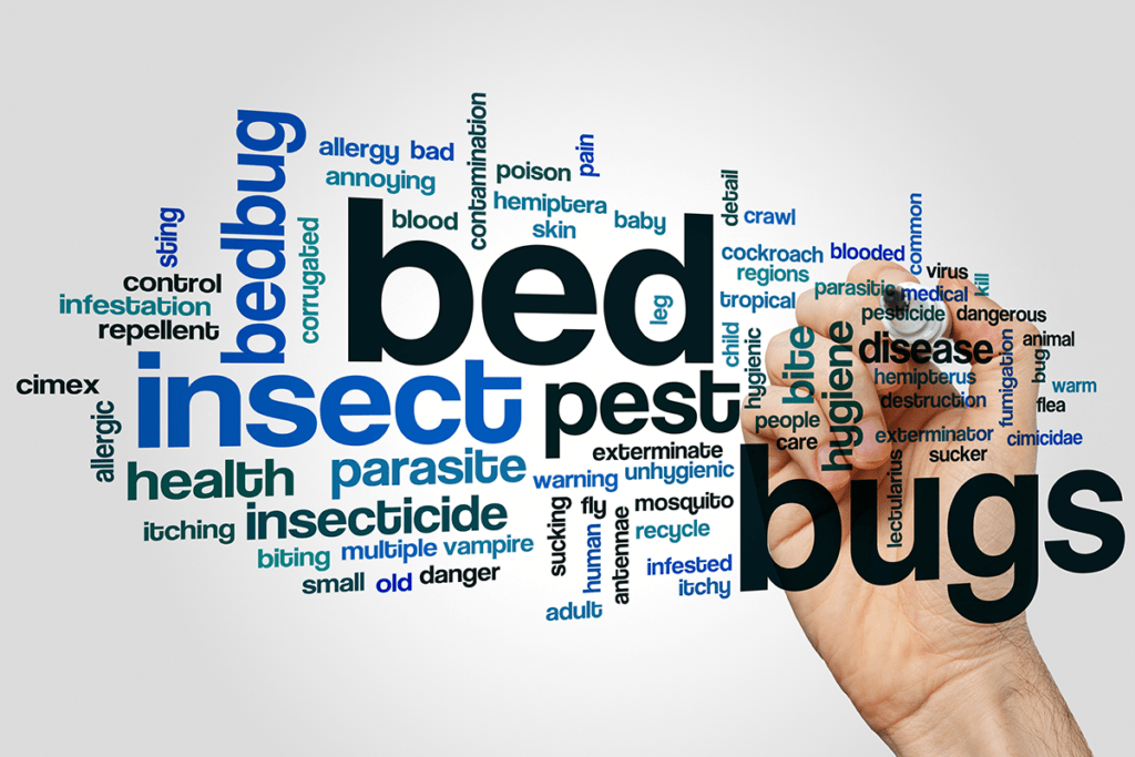 bed bug graphic