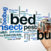 Bed Bugs Facts And Myths 36 bed bug graphic