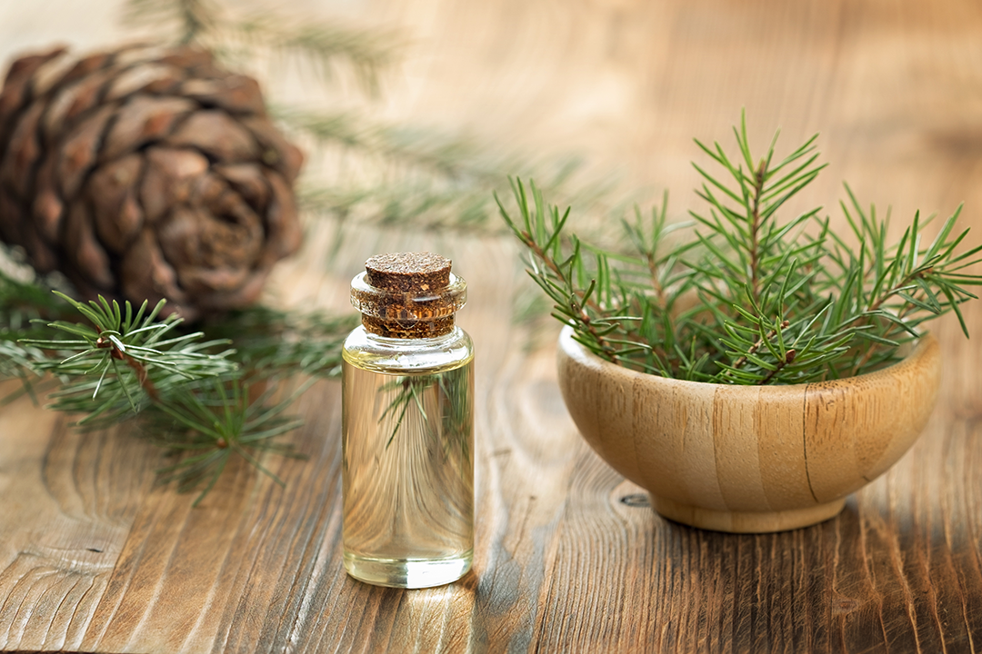 cedarwood oil and pine needles