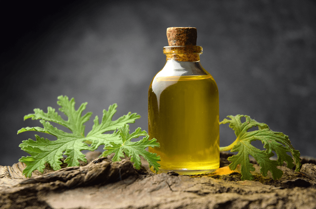 citronella oil in glass bottle