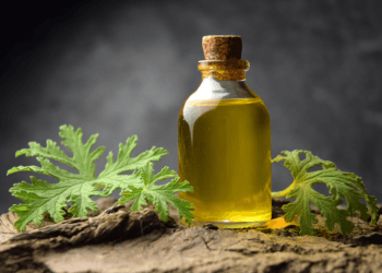 citronella oil in glass bottle