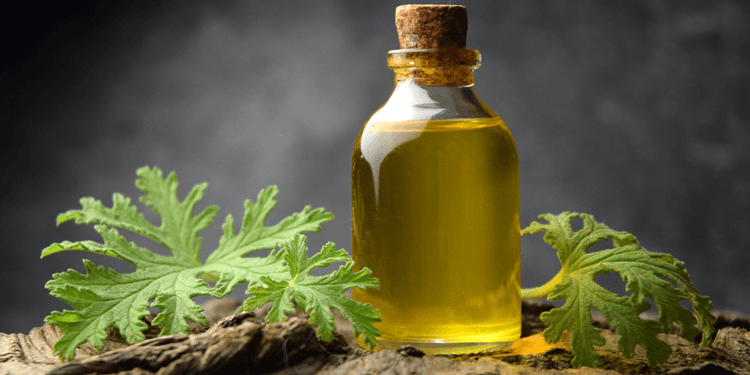 citronella oil in glass bottle