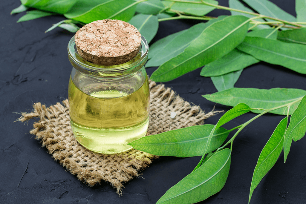 eucalyptus oil