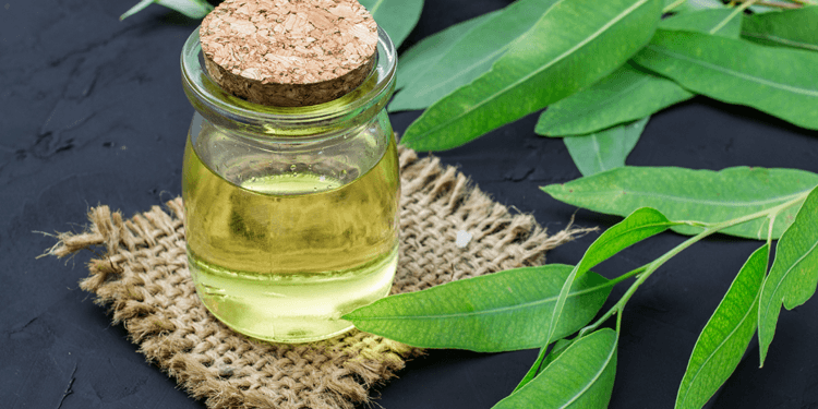 eucalyptus oil