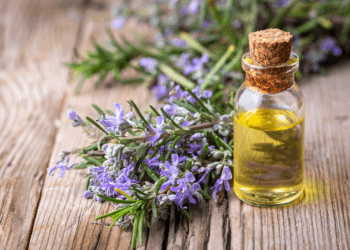 Our Top Rosemary Oils 2024 35 rosemary oil
