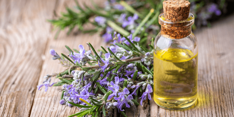 rosemary oil