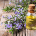 rosemary oil
