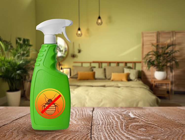 spray bottle with bed bug image